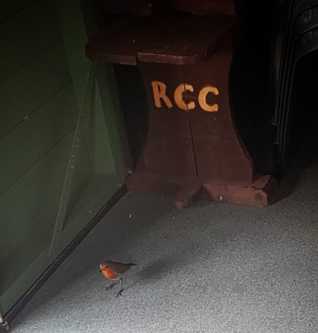 C:\Users\Brian\Documents\My Documents\Dad\Croquet Club\Chairman Newsletter\May 2019\Our Newest Recruit.jpg